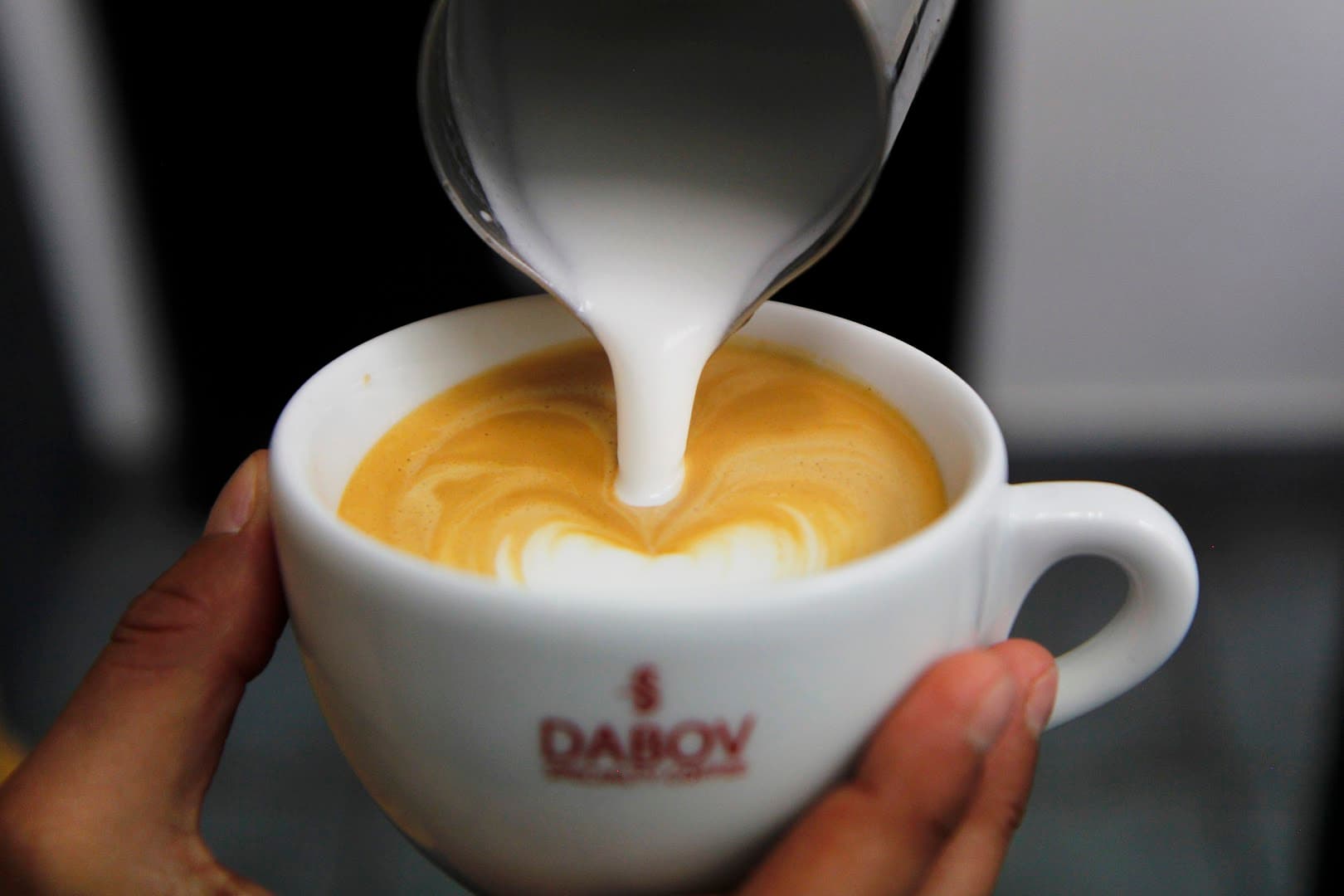 Dabov Specialty Coffee gallery 5